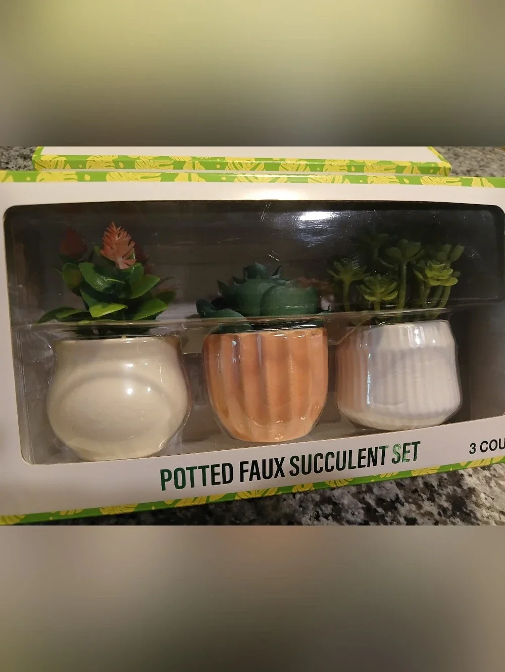 NWT Potted Faux Succulent Set